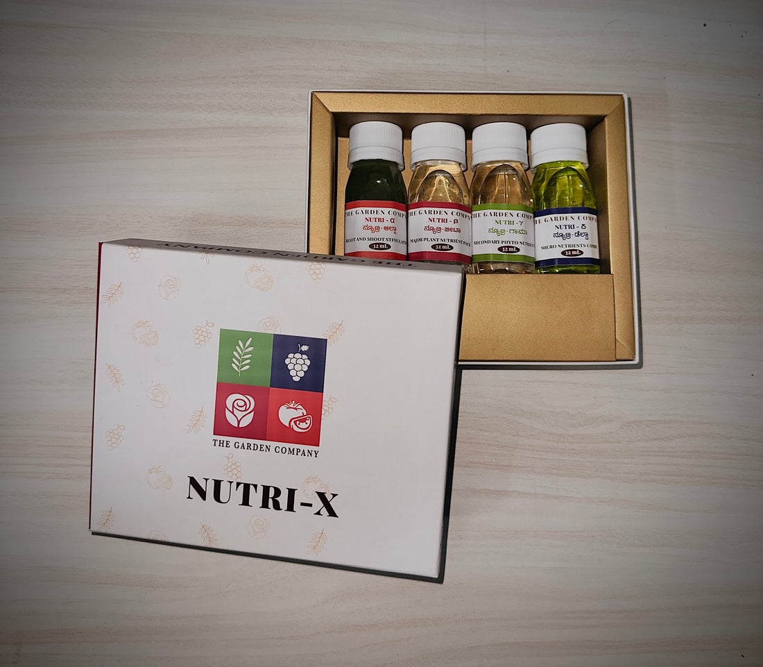 Nourish Garden Growth with Nutri-X