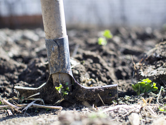 Composting Made Easy: Transforming Kitchen Scraps into Garden Gold with GardenGem Seeds and Nutri-X